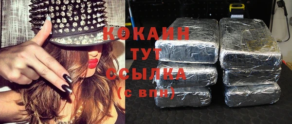крисы Кодинск