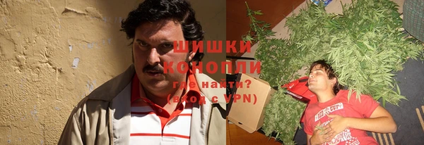 крисы Кодинск