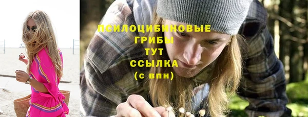 крисы Кодинск